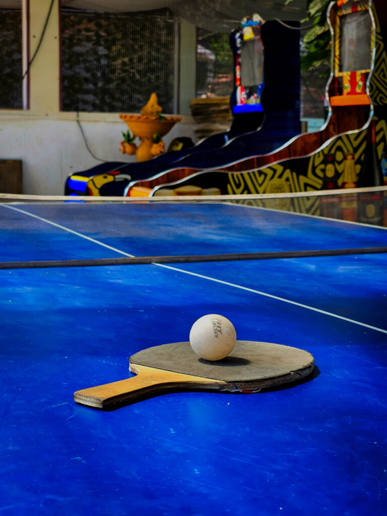 Juegos ping pong
