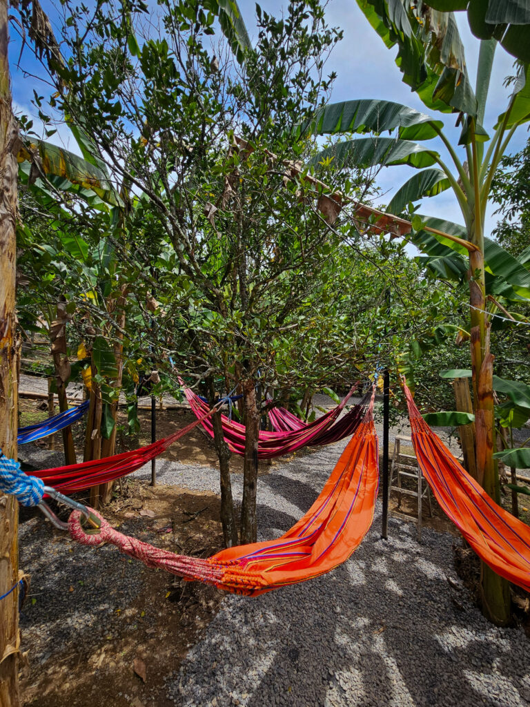Zona de Hamacas